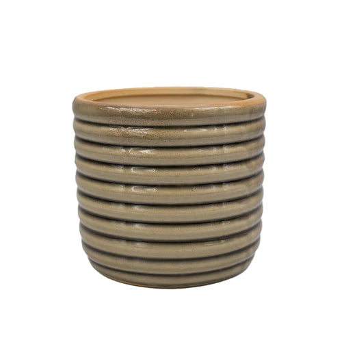 Striped Ceramic