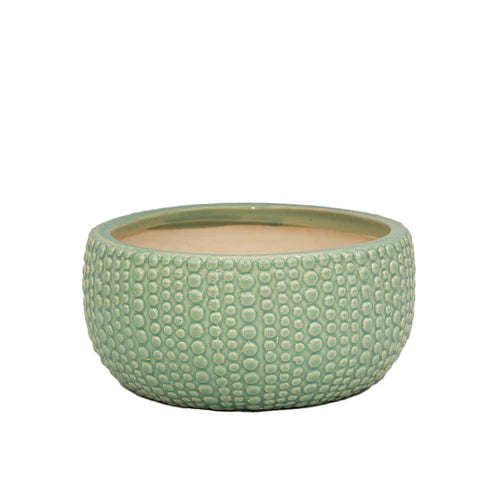 Sea Glass Bonsai Ceramic