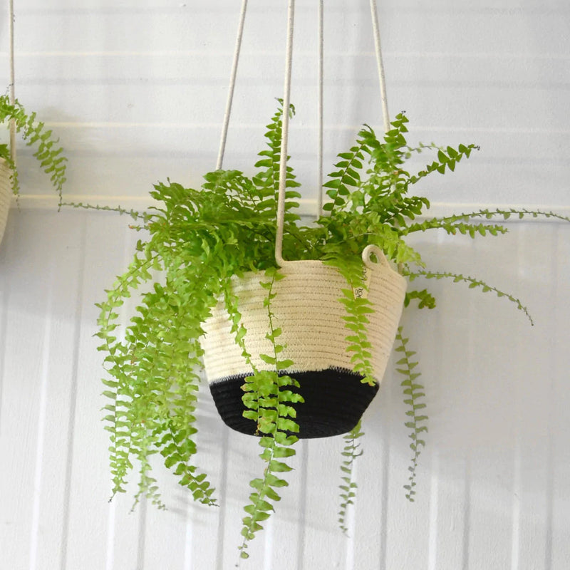 Hanging Planter Black Block